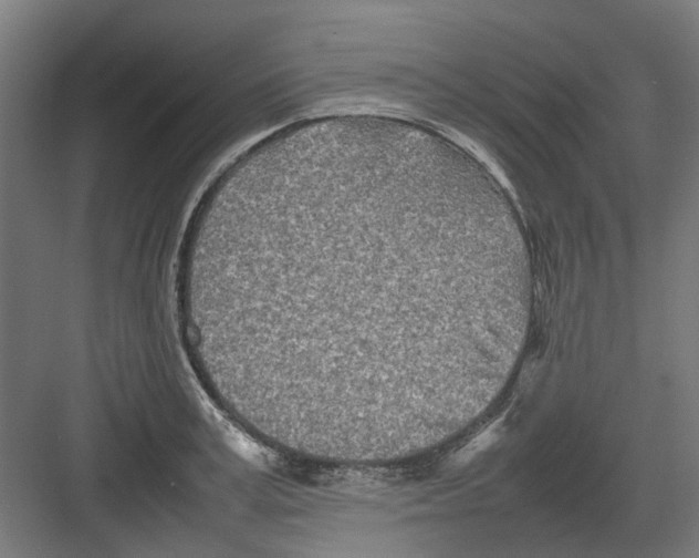 X0000082140995200702162138