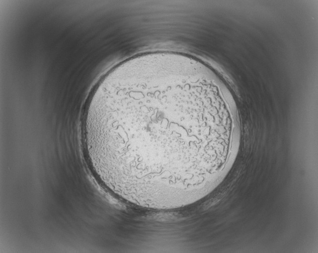 X0000082140998200702162138