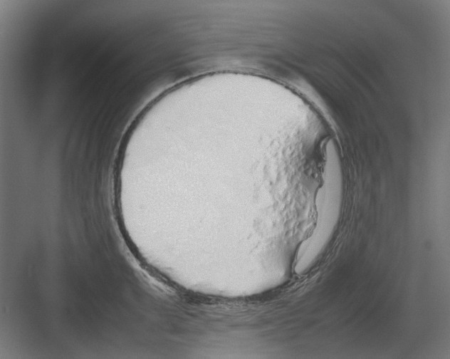 X0000082140999200702162138