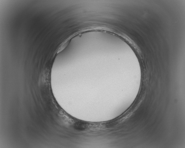 X0000082141001200702162138