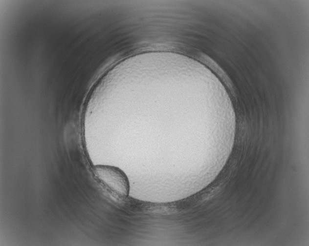 X0000082141002200702162138