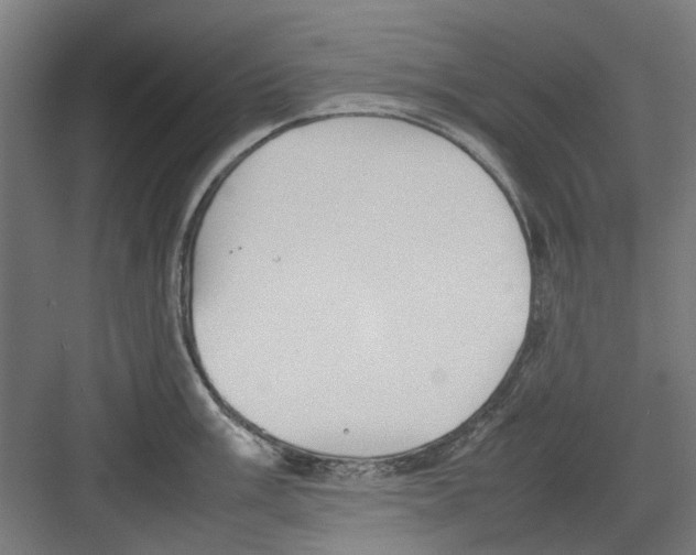 X0000082141003200702162138