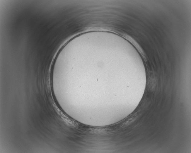 X0000082141004200702162138