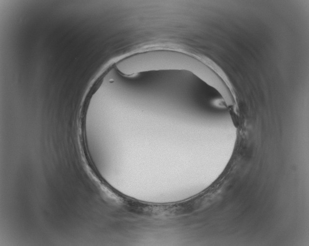 X0000082141005200702162138