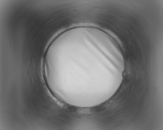 X0000082141006200702162138