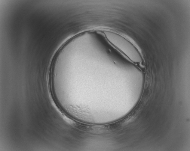 X0000082141007200702162138