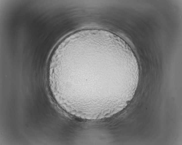 X0000082141008200702162138