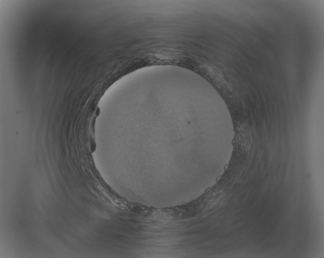 X0000082141009200702162137