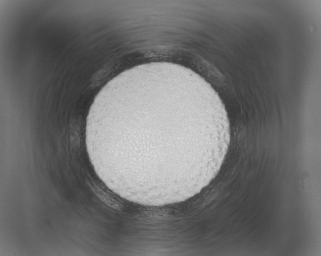 X0000082141012200702162137