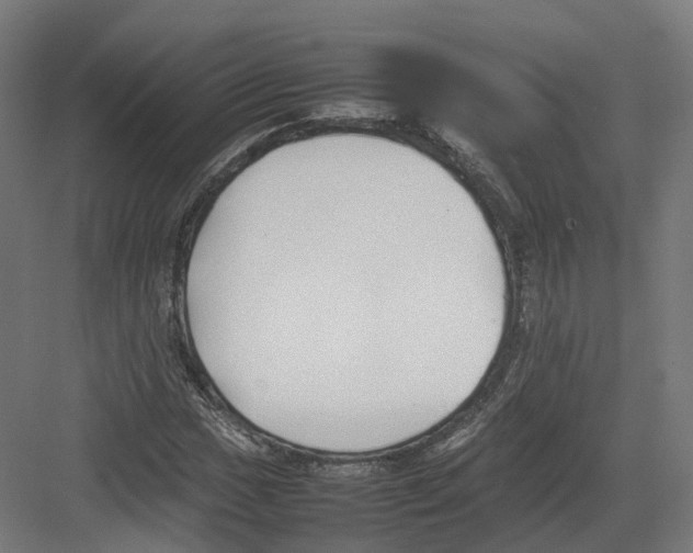 X0000082141017200702162137