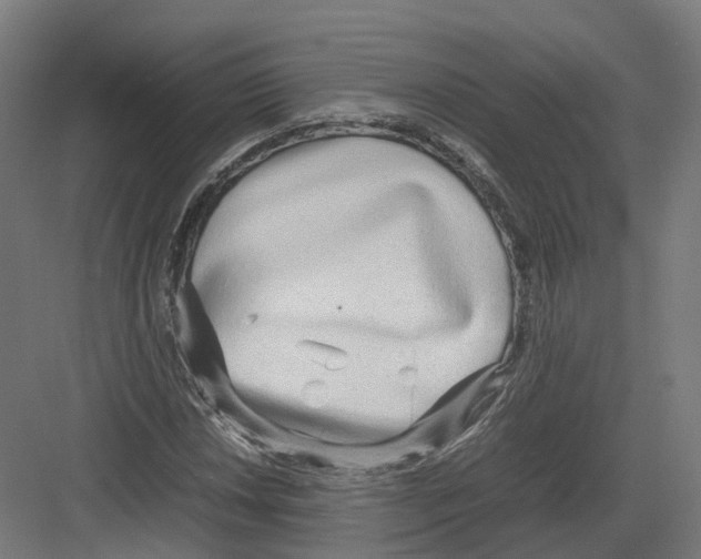 X0000082141018200702162137