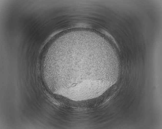 X0000082141019200702162137