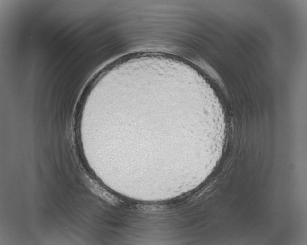 X0000082141020200702162137