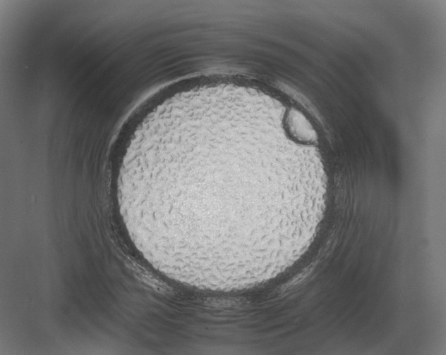 X0000082141021200702162137