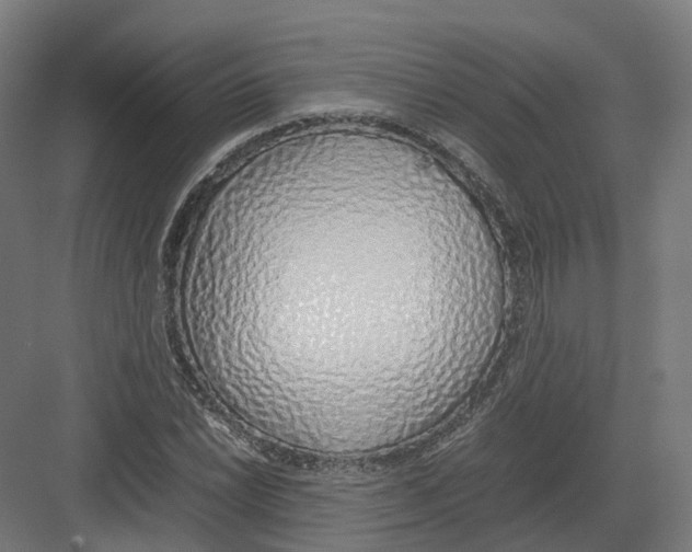 X0000082141022200702162137