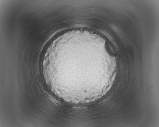 X0000082141023200702162137