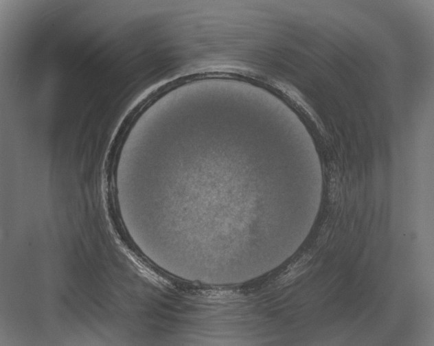 X0000082141024200702162137