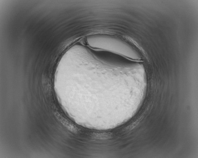 X0000082141025200702162137