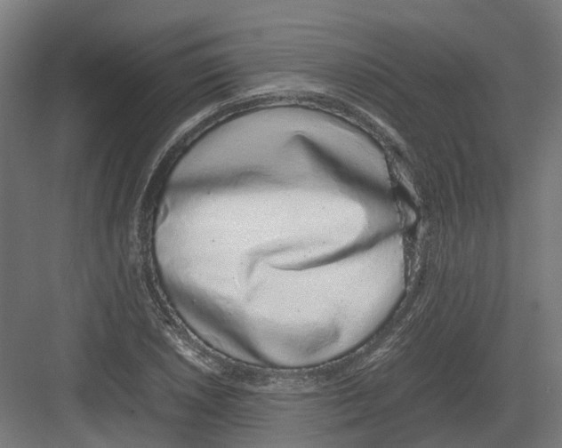 X0000082141026200702162137