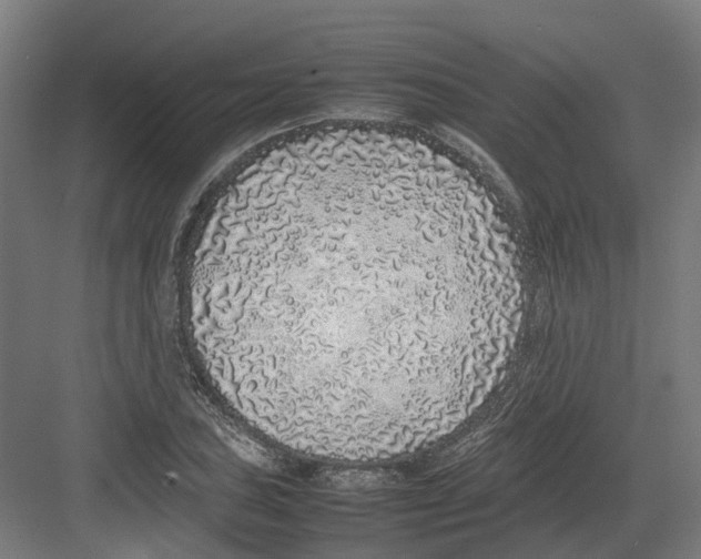 X0000082141027200702162137