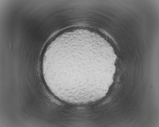 X0000082141029200702162137