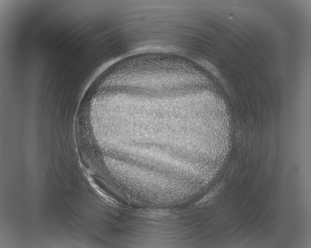 X0000082141030200702162137