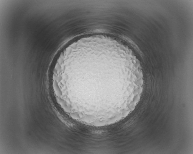 X0000082141031200702162137