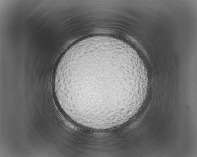 X0000082141033200702162137