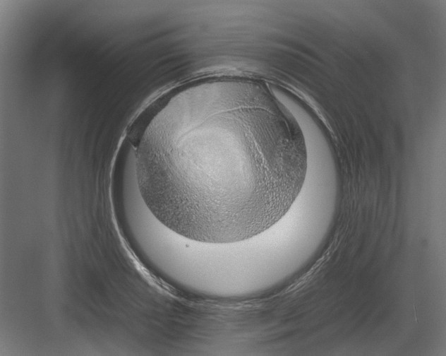 X0000082141034200702162137