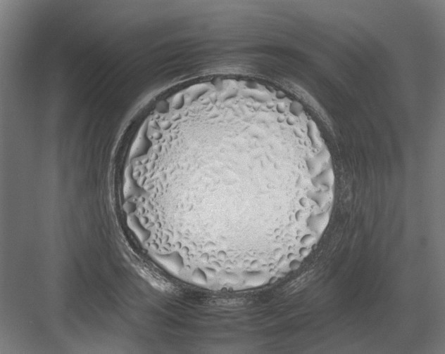 X0000082141035200702162137