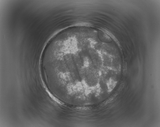 X0000082141037200702162137