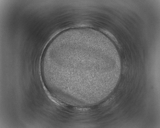 X0000082141039200702162137