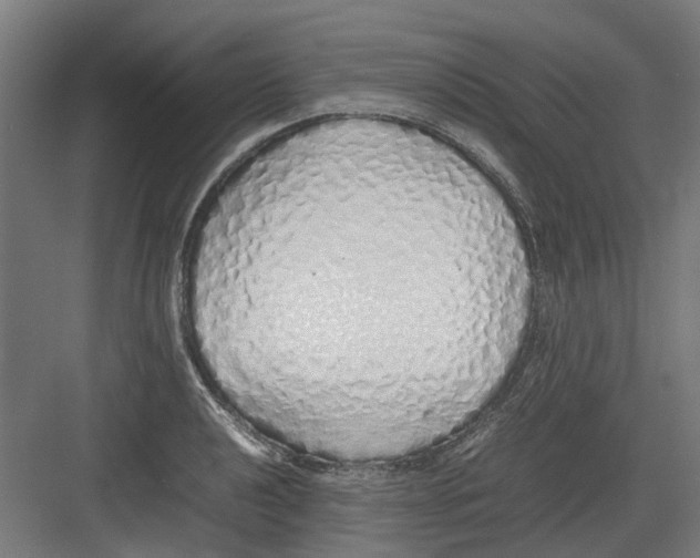 X0000082141040200702162137