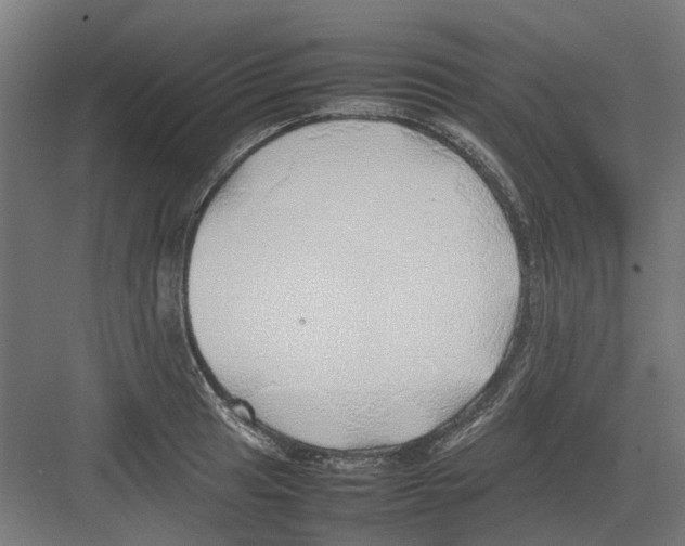 X0000082141041200702162137