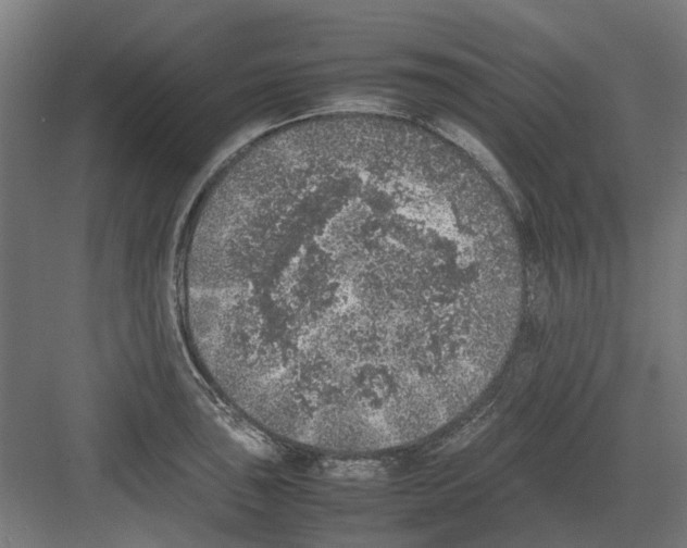 X0000082141043200702162137