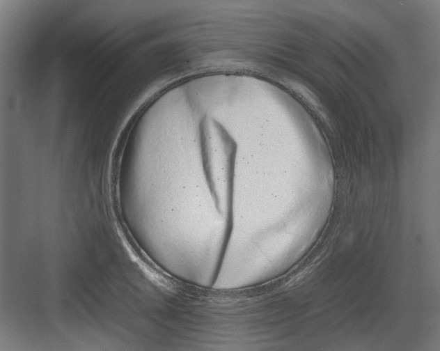 X0000082141046200702162137