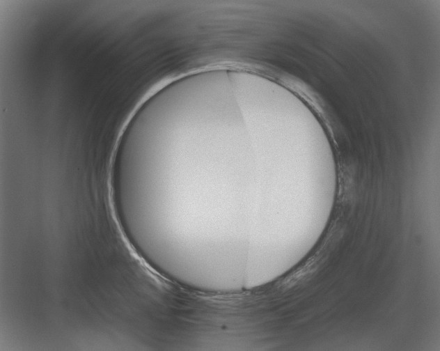 X0000082141048200702162137