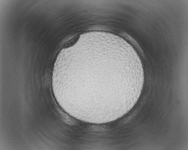 X0000082141049200702162138