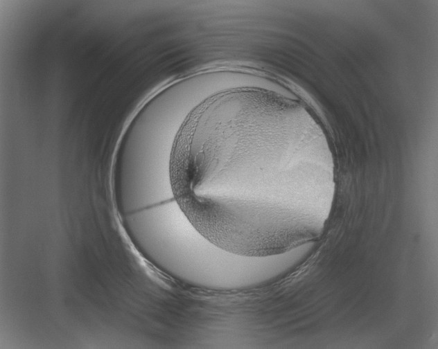 X0000082141050200702162138