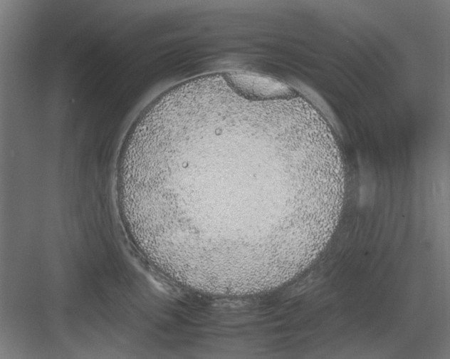 X0000082141051200702162138