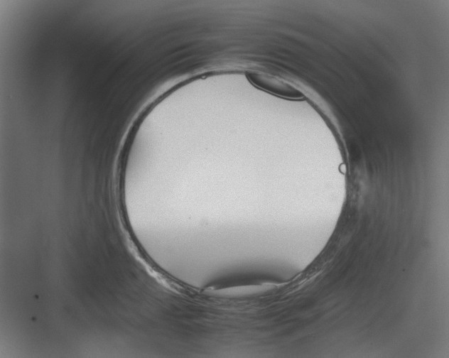 X0000082141053200702162138