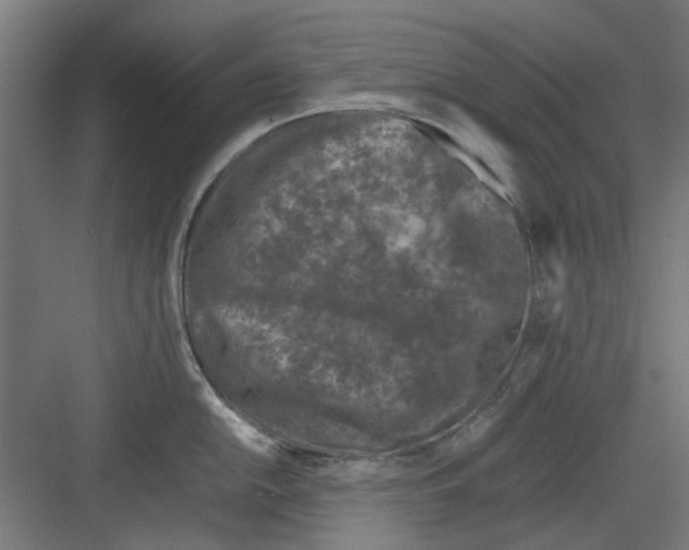 X0000082141054200702162138