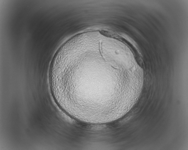 X0000082141055200702162138