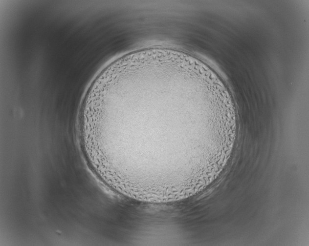 X0000082141056200702162138