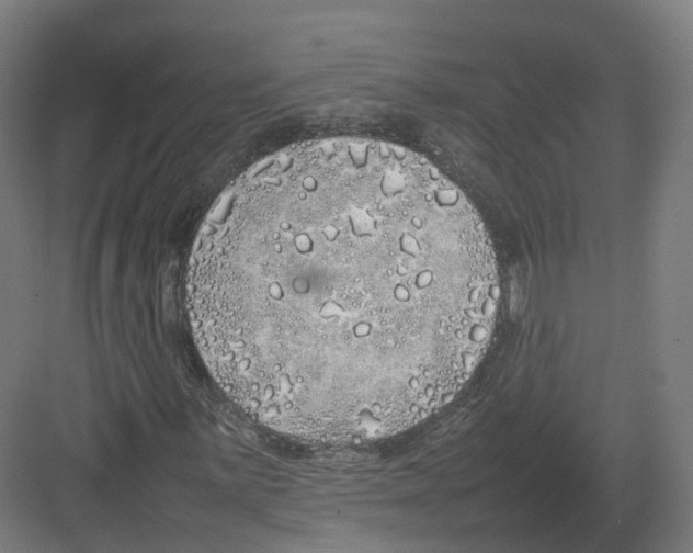 X0000082141059200702162137