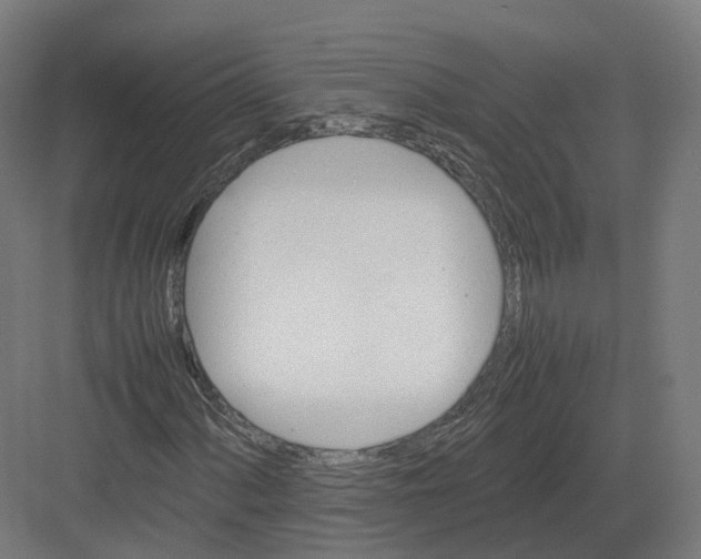 X0000082141060200702162137