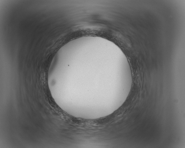 X0000082141061200702162137