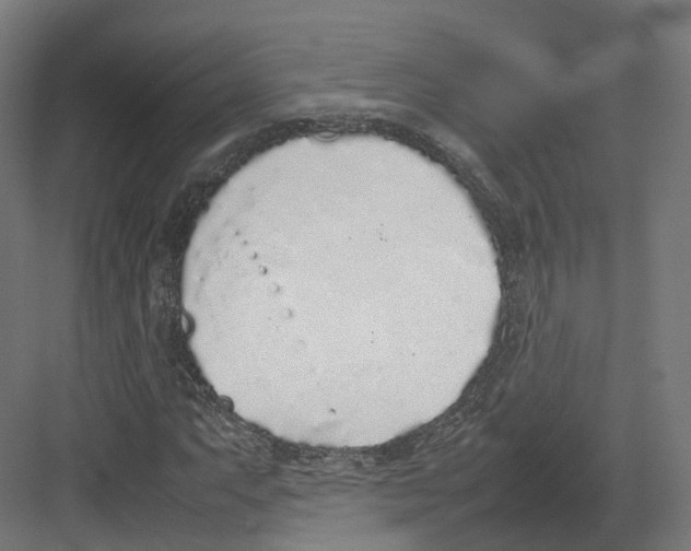 X0000082141063200702162137