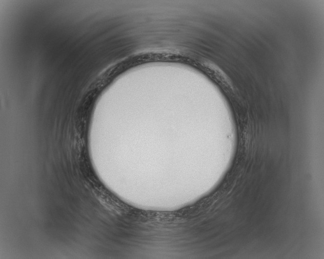 X0000082141064200702162137