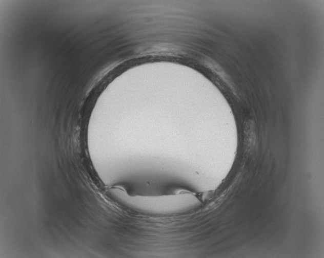 X0000082141066200702162137